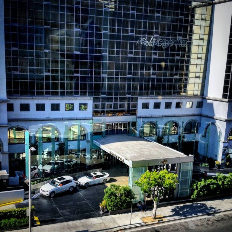 Sofitel Los Angeles at Beverly Hills Photo by Socialbilitty 768x768